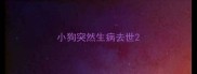 小狗突然生病去世