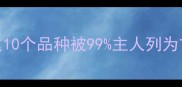 最火宠物犬排名这10个品种被99主人列为首选附饲养指南