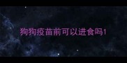 狗狗疫苗前可以进食吗