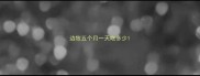 边牧五个月一天吃多少