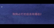 狗狗必打的疫苗有哪些