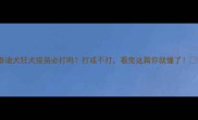 泰迪犬狂犬疫苗必打吗打或不打看完这篇你就懂了