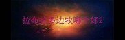 拉布拉多边牧哪个好