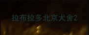 拉布拉多北京犬舍