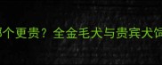 金毛和贵宾哪个更贵全金毛犬与贵宾犬饲养成本对比