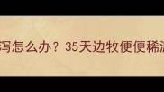 边境牧羊犬幼犬腹泻怎么办35天边牧便便稀溏的紧急护理指南
