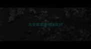西安那家宠物医院好
