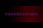 打疫苗的狗还能得犬瘟吗