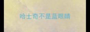 哈士奇不是蓝眼睛