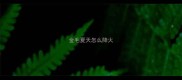 金毛夏天怎么降火