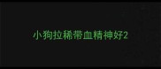 小狗拉稀带血精神好