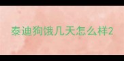泰迪狗饿几天怎么样
