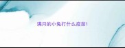 满月的小兔打什么疫苗