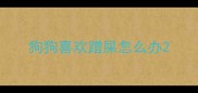 狗狗喜欢蹭屎怎么办