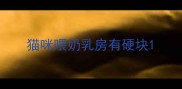 猫咪喂奶乳房有硬块