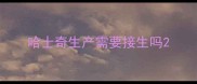 哈士奇生产需要接生吗