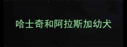 哈士奇和阿拉斯加幼犬