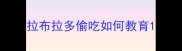 拉布拉多偷吃如何教育