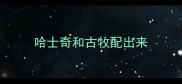 哈士奇和古牧配出来