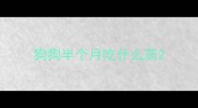 狗狗半个月吃什么药