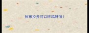 拉布拉多可以吃鸡肝吗