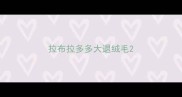 拉布拉多多大退绒毛