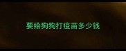 要给狗狗打疫苗多少钱
