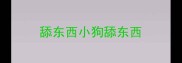 舔东西小狗舔东西