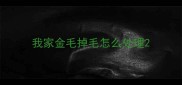 我家金毛掉毛怎么处理
