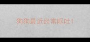 狗狗最近经常呕吐
