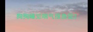 狗狗睡觉喘气很急促