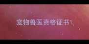 宠物兽医资格证书