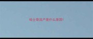 哈士奇流产是什么原因