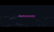 泰迪有球虫的症状
