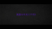 英国斗牛犬八个月