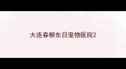 大连春柳东日宠物医院