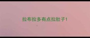 拉布拉多有点拉肚子