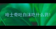 哈士奇吐白沫吃什么药