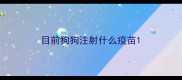 目前狗狗注射什么疫苗