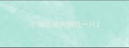 小狗后腿内侧红一片