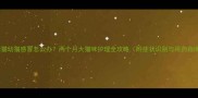 加菲猫幼猫感冒怎么办两个月大猫咪护理全攻略附症状识别与用药指南