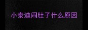 小泰迪闹肚子什么原因