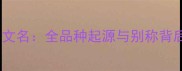 拉布拉多犬中文名全品种起源与别称背后的文化内涵