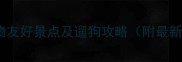 广州周边10大宠物友好景点及遛狗攻略附最新宠物出行指南