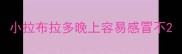 小拉布拉多晚上容易感冒不