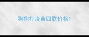 狗狗打疫苗四联价格