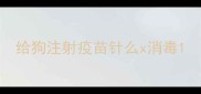 给狗注射疫苗针么x消毒
