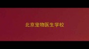 北京宠物医生学校