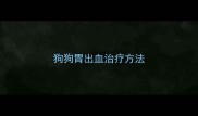狗狗胃出血治疗方法
