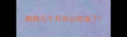 狗狗几个月可以吃饭了